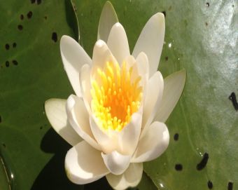 Blog post for test