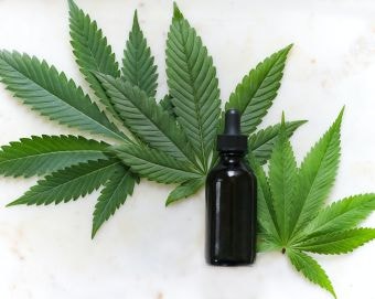 The Best Deals for National CBD Day