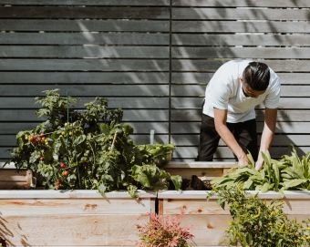 DIY Gardening Projects and Landscaping Ideas to Save Money
