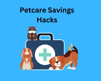 7 Ways To Save Money On Pet Expenses & Supplies