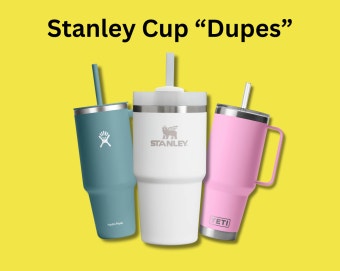 Top 5 Affordable Stanley Cup Alternatives